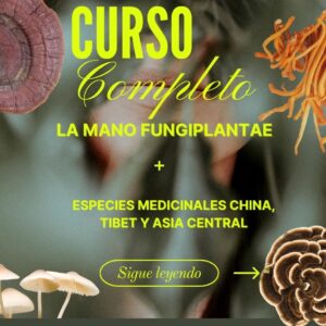 Acceso a curso "La Mano FungiPlantae"
